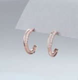 2-Line Curved Diamante Stud  Earrings